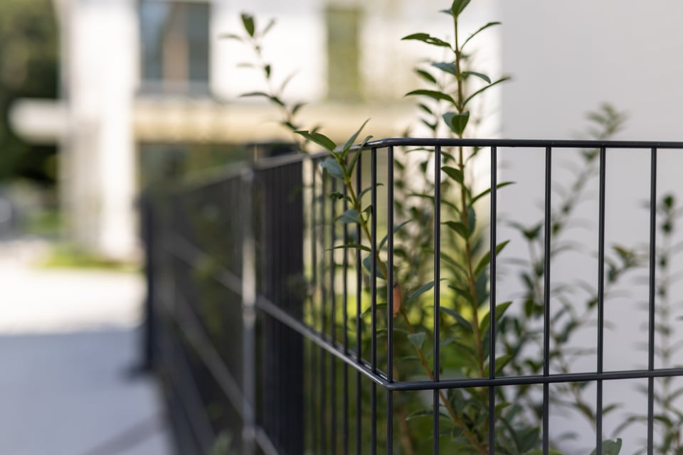 Detailaufnahme