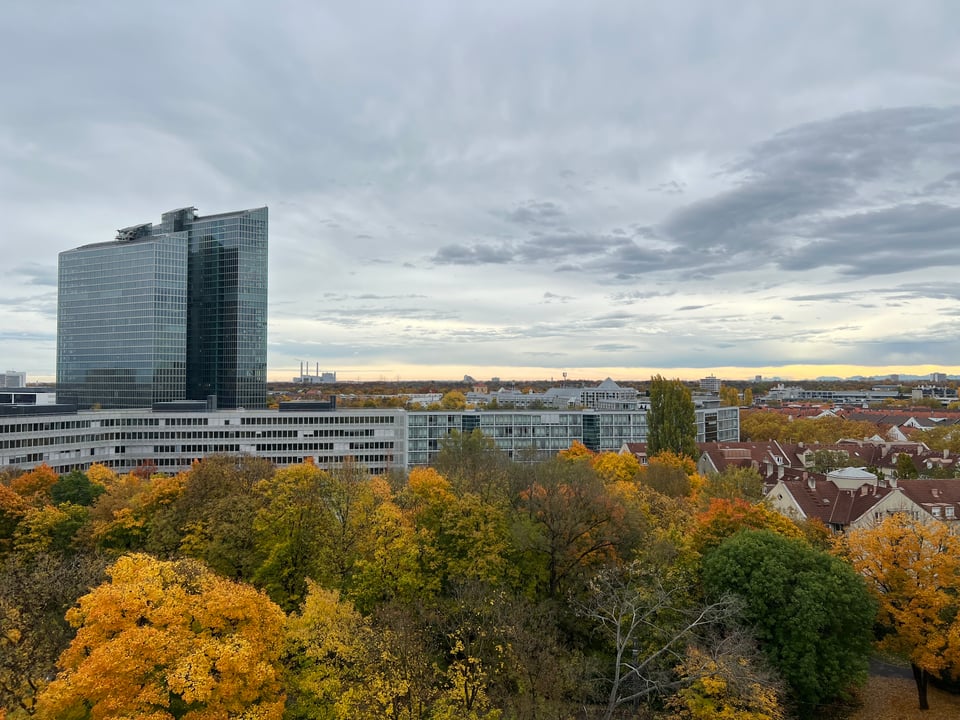 Blick