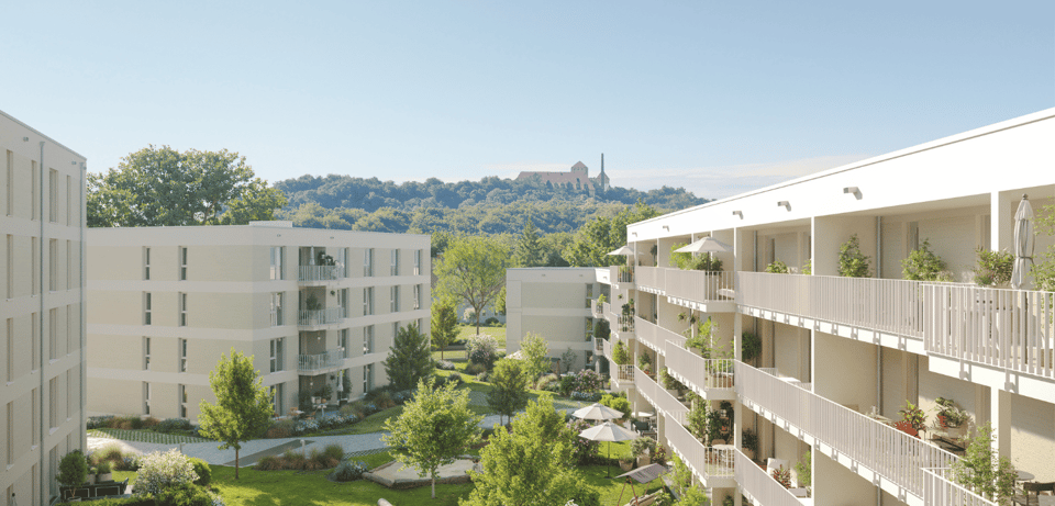 Header_Freinger-Anger_Domblick