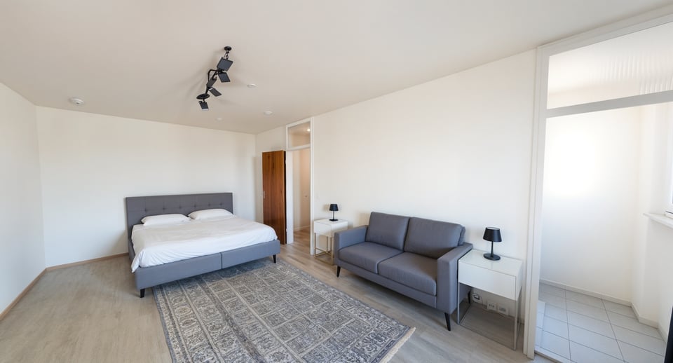 Visualisierung Wohn- Schlafbereich - Schlafzimmer, Modern 